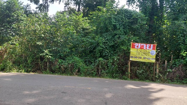 ขายที่ดินข้างโรงเรียนบ้านจั่นศรีวิไล 1-2-07 ไร่  ต.บ้านจั่น อ.เมือง จ.อุดรธานี   ZE552