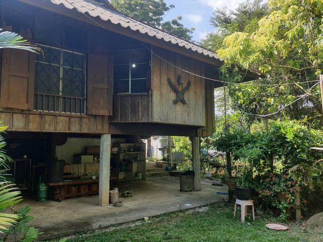 ขายที่ดินติดลำธาร แถมบ้านสวน พร้อม บ่อปลา แปลงผัก และผลไม้ อ.ฝาง จ.เชียงใหม่