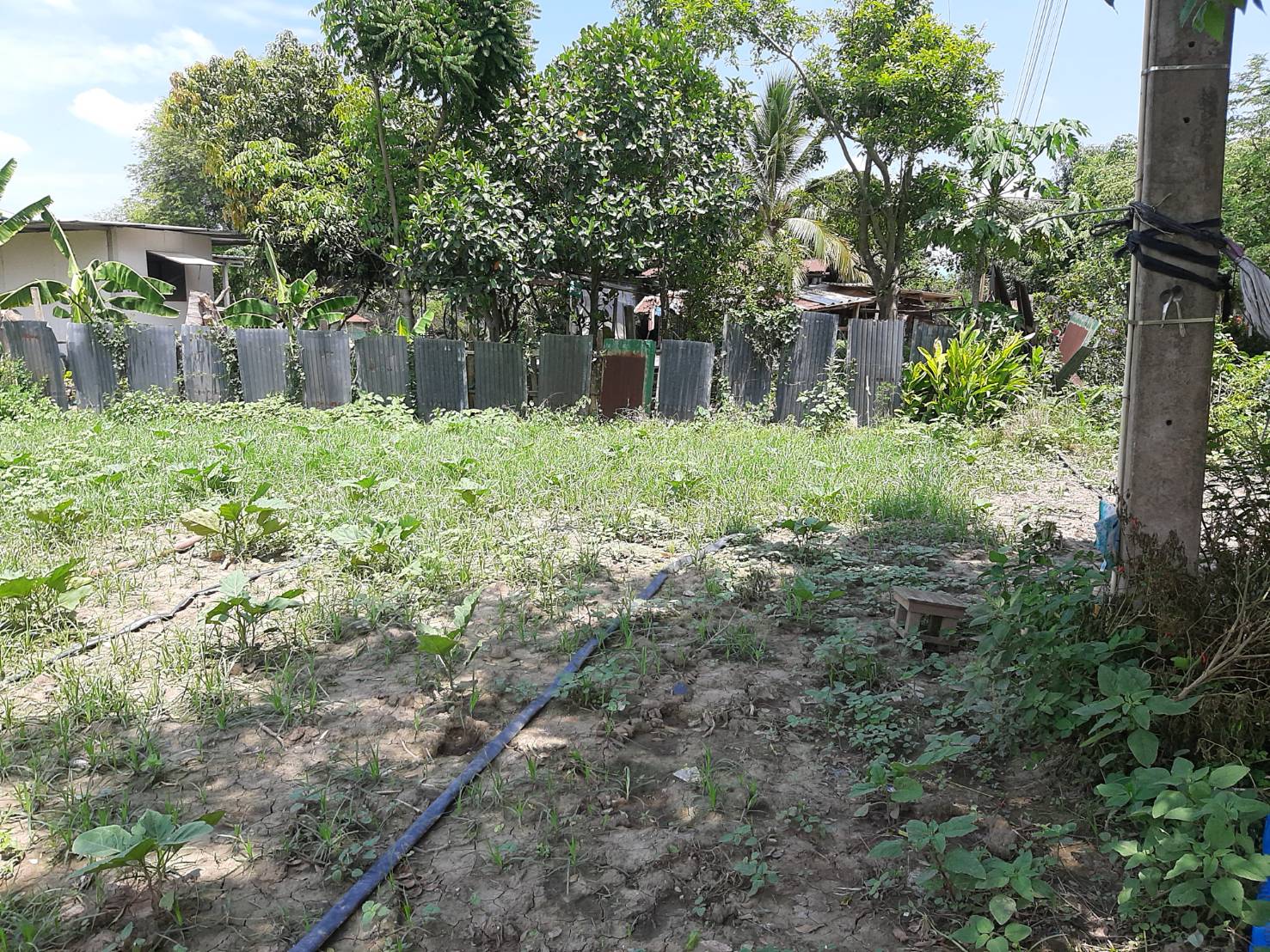 ขายที่ดินติดถนนหลัก 2 ไร่ 10 ตรว. ต.สำพะเนียง อ.บ้านแพรก จ.อยุธยา