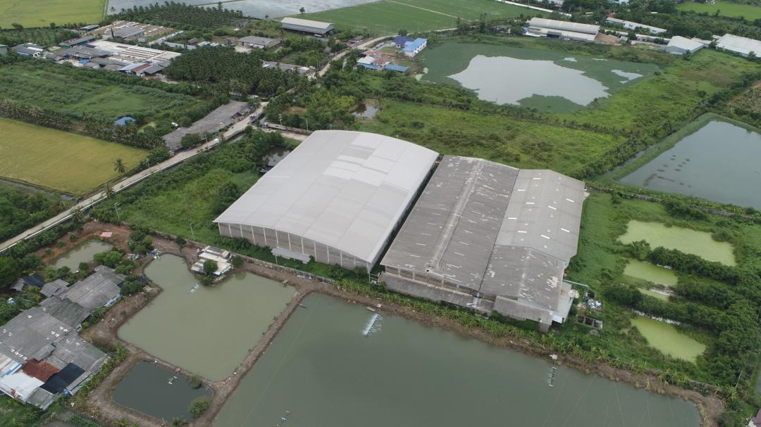 C3910 ขายโรงงานปั่นด้าย ทอผ้าพร้อมโกดัง เนื้อที่ 20 ไร่ พร้อม ใบอนุญาต รง.4 อำเภอกระทุ่มแบน สมุทรสาคร