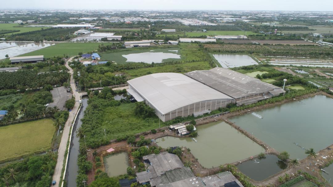 C3910 ขายโรงงานปั่นด้าย ทอผ้าพร้อมโกดัง เนื้อที่ 20 ไร่ พร้อม ใบอนุญาต รง.4 อำเภอกระทุ่มแบน สมุทรสาคร