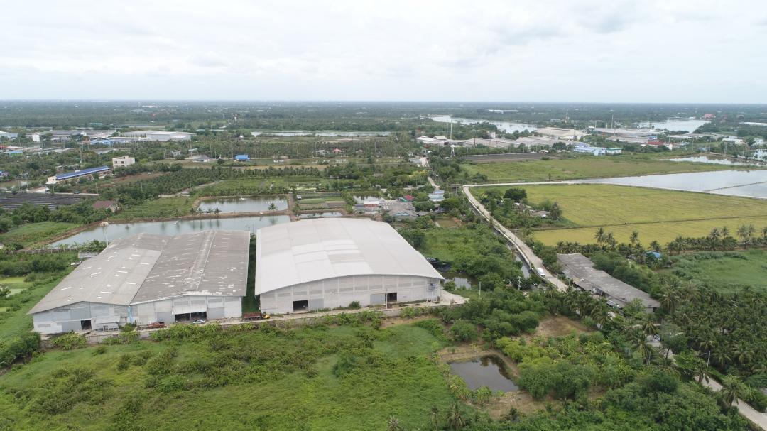 C3910 ขายโรงงานปั่นด้าย ทอผ้าพร้อมโกดัง เนื้อที่ 20 ไร่ พร้อม ใบอนุญาต รง.4 อำเภอกระทุ่มแบน สมุทรสาคร