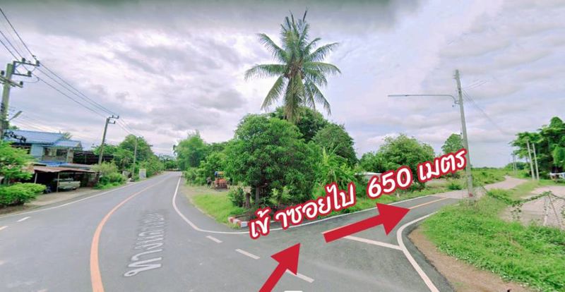 ขายที่ดินสวย 16 ไร่ ทรงสี่เหลี่ยมผืนผ้า บ้านน้ำตูม ต.ปากโทก อ.เมือง จ.พิษณุโลก