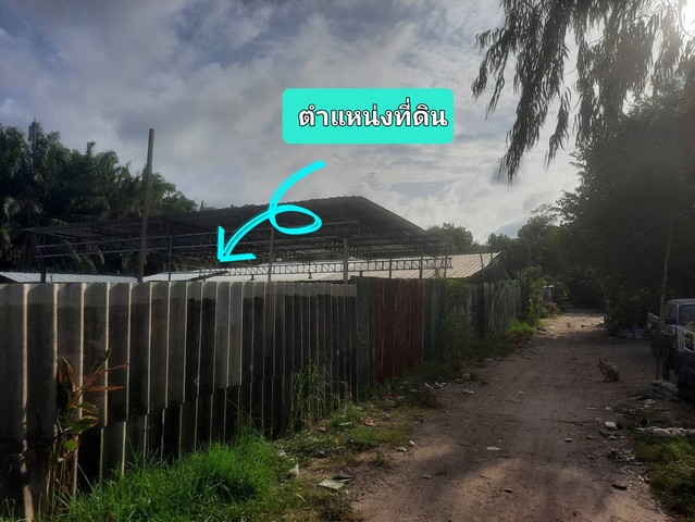 ขายที่ดินผังสีส้ม 7-2-12.1 ไร่ ซอยพรประภานิมิต 15 เมืองพัทยา อ. บางละมุง จ. ชลบุรี 