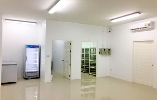 ออฟฟิศชั้นเดียว LAB มหาลัยมหิดล 4 กม. ตลาดนัดคลองโยง 50ตรว. 200ตรม. 4นอน 2น้ำ 10จอดรถ 8แอร์