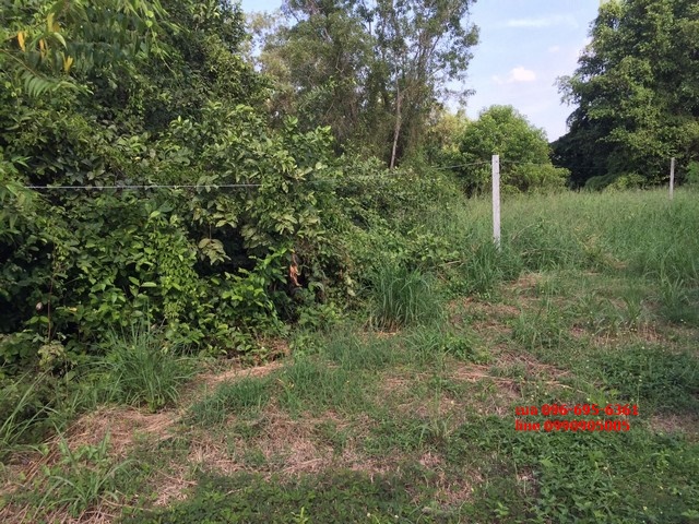 ขายที่ดิน ติดถนนกาญจนาภิเษก ตร.ว.ละ 15000 บาท 6-1-21.3 ไร่ Land for sale