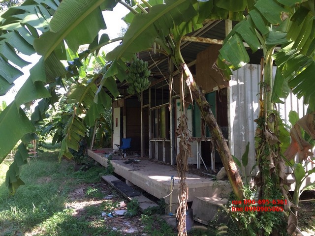 ขายที่ดิน ติดถนนกาญจนาภิเษก ตร.ว.ละ 15000 บาท 6-1-21.3 ไร่ Land for sale