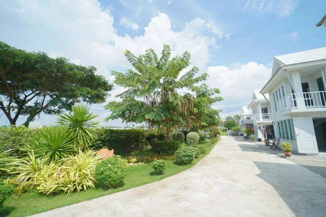 ขายด่วนบ้านเดี่ยว 4 หลัง 2 ชั่นลอย บนเนื้อที่ 200 ตรงว. ต.นาจอมเทียน อ. สัตหีบ จ. ชลบุรี 