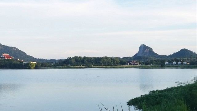 ขายด่วนบ้านเดี่ยว 4 หลัง 2 ชั่นลอย บนเนื้อที่ 200 ตรงว. ต.นาจอมเทียน อ. สัตหีบ จ. ชลบุรี 