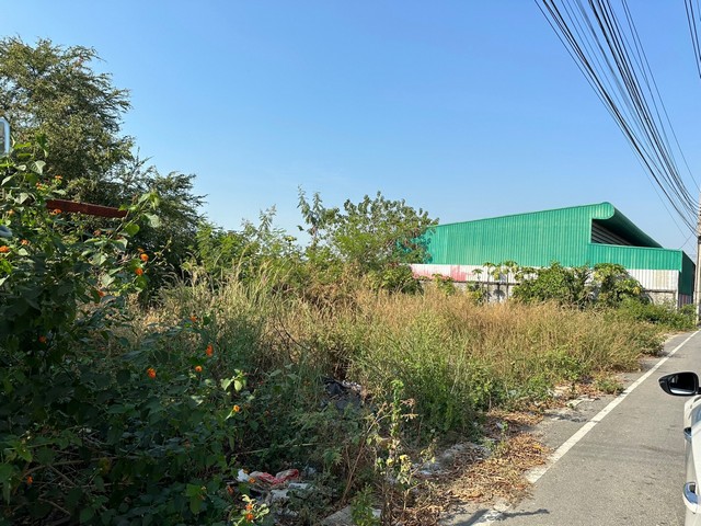 ขายที่ดินเปล่า 200 ตรว. ในลำโพ บางบัวทอง นนทบุรี ติดถนน ทำเลดี เดินทางสะดวก ใกล้แหล่งชุมชน เจ้าของขายเอง