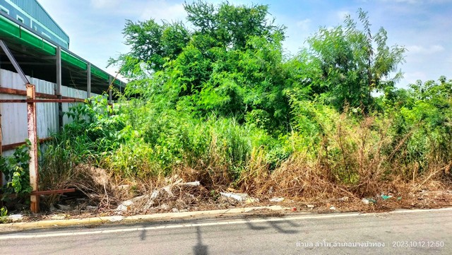 ขายที่ดินเปล่า 200 ตรว. ในลำโพ บางบัวทอง นนทบุรี ติดถนน ทำเลดี เดินทางสะดวก ใกล้แหล่งชุมชน เจ้าของขายเอง