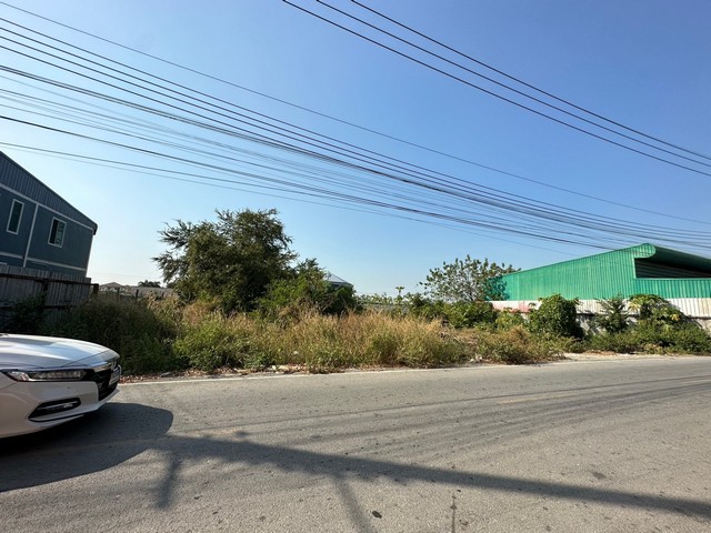 ขายที่ดินเปล่า 200 ตรว. ในลำโพ บางบัวทอง นนทบุรี ติดถนน ทำเลดี เดินทางสะดวก ใกล้แหล่งชุมชน เจ้าของขายเอง