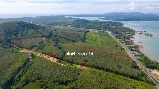 ขายที่ดินสวยที่สุด ถูกที่สุดในภูเก็ต ใกล้ทะเลเพียง150เมตร เนื้อที่ 126ไร่ ตำบลไม้ขาว อำเภอถลาง จังหวัดภูเก็ต