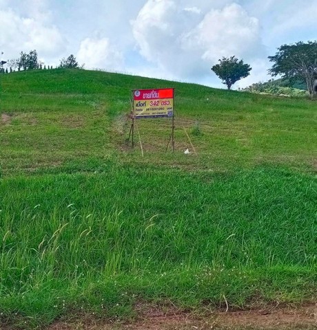 ขายที่ดินสวย 342 ตร.ว.  ทุ่งสมอ เขาค้อ มีโฉนด ต.ทุ่งสมอ อ.เขาค้อ จ.เพชรบูรณ์  ZW241