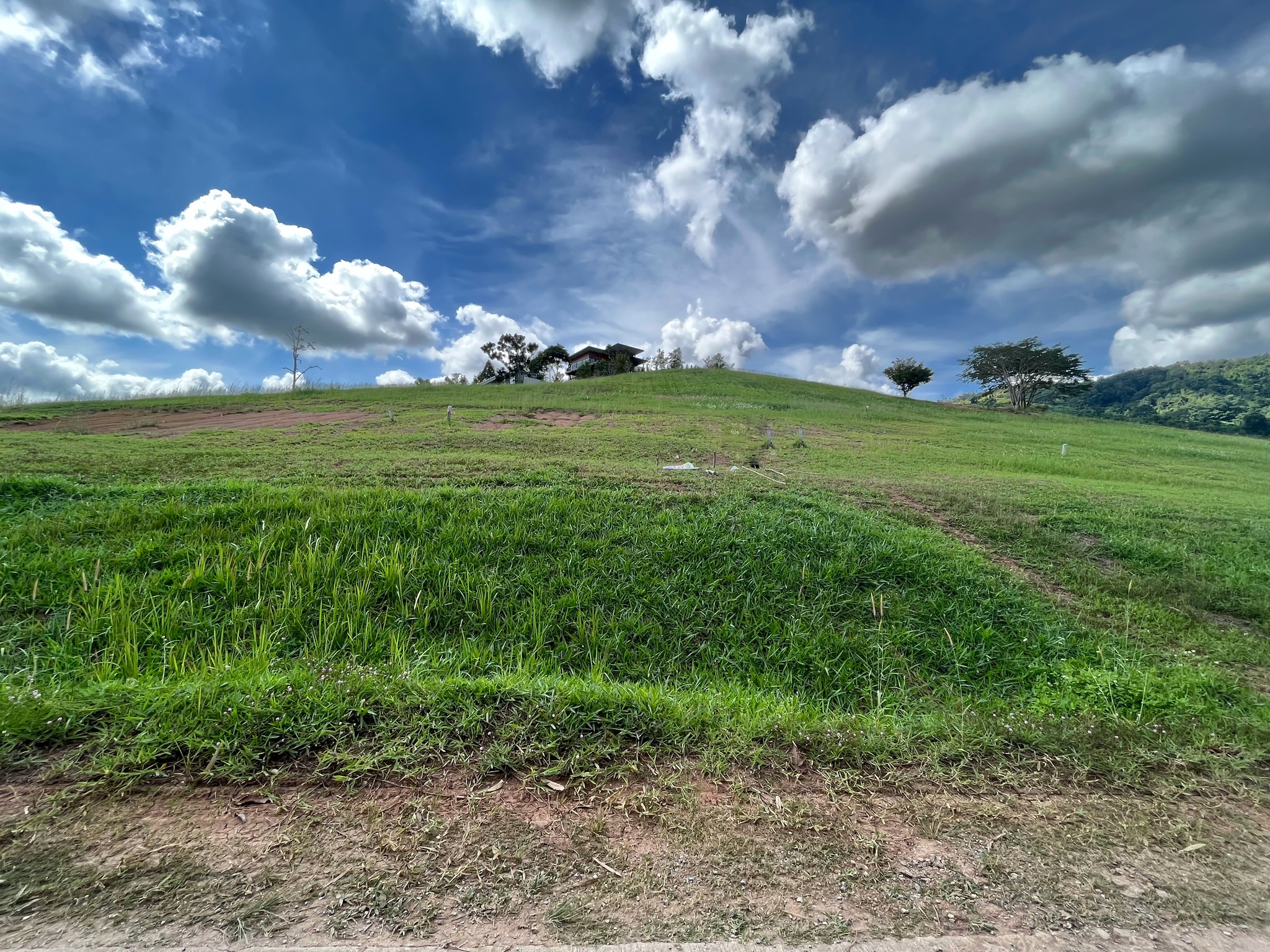 ขายที่ดินสวย 342 ตร.ว.  ทุ่งสมอ เขาค้อ มีโฉนด ต.ทุ่งสมอ อ.เขาค้อ จ.เพชรบูรณ์  ZW241