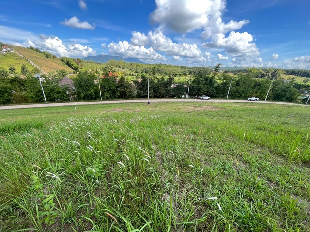 ขายที่ดินสวย 342 ตร.ว.  ทุ่งสมอ เขาค้อ มีโฉนด ต.ทุ่งสมอ อ.เขาค้อ จ.เพชรบูรณ์  ZW241