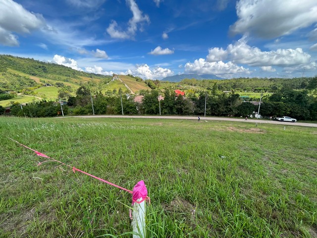 ขายที่ดินสวย 342 ตร.ว.  ทุ่งสมอ เขาค้อ มีโฉนด ต.ทุ่งสมอ อ.เขาค้อ จ.เพชรบูรณ์  ZW241