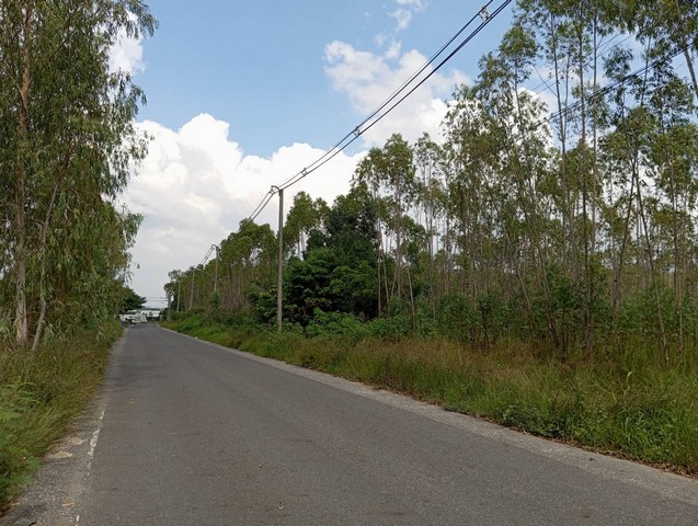 ที่ดินสวยๆเมืองพัทยา ติดถนนสองด้าน ผังสีส้มเหมาะทำจัดสรร เขตห้วยใหญ่ บางละมุง จ.ชลบุรี
