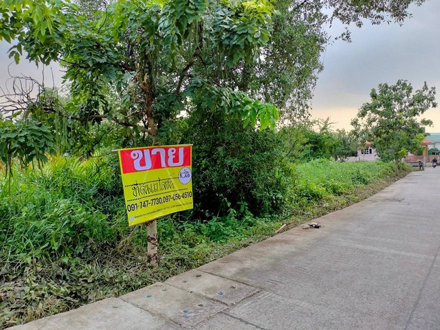 ขายที่ดินติดถนนรอบ เนื้อที่ 290 ตร.วา  ติดถนนโกรกกรากใน4- ซอยพัฒนา ต.บางหญ้าแพรก อ.เมือง จ.สมุทรสาคร  ZW293