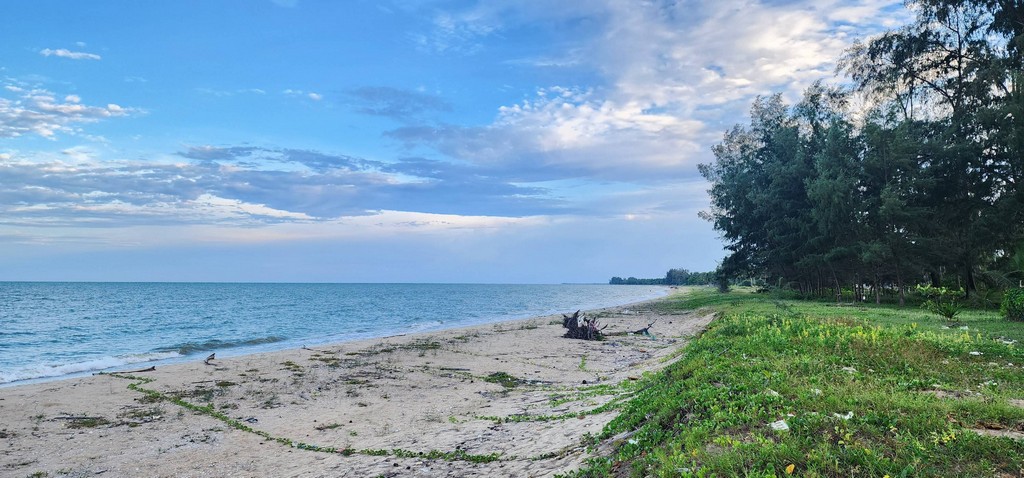 ขายที่ดินติดชายหาดพร้อมหาดทรายสวยๆ บ้านหนองบัว อ.ละเเม จ.ชุมพร  361 ตรว. ถูกสวยทำเลดี