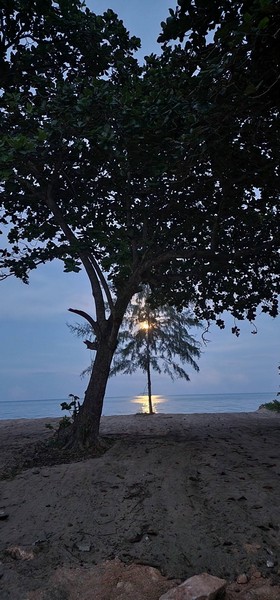 ขายที่ดินติดชายหาดพร้อมหาดทรายสวยๆ บ้านหนองบัว อ.ละเเม จ.ชุมพร  361 ตรว. ถูกสวยทำเลดี