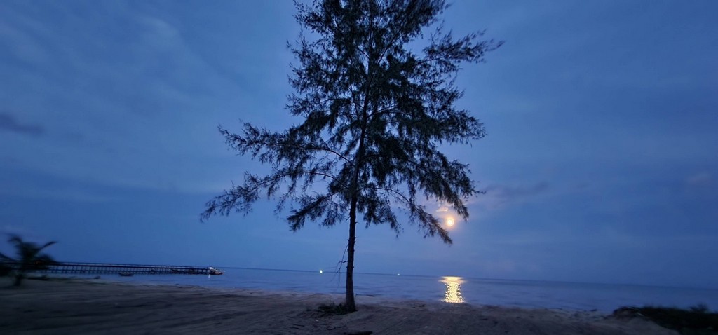 ขายที่ดินติดชายหาดพร้อมหาดทรายสวยๆ บ้านหนองบัว อ.ละเเม จ.ชุมพร  361 ตรว. ถูกสวยทำเลดี