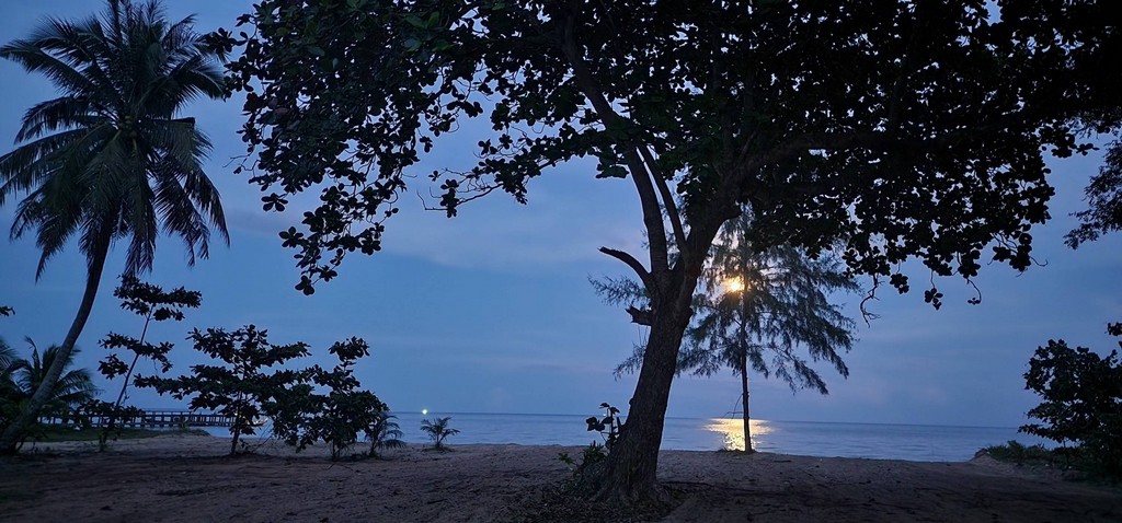 ขายที่ดินติดชายหาดพร้อมหาดทรายสวยๆ บ้านหนองบัว อ.ละเเม จ.ชุมพร  361 ตรว. ถูกสวยทำเลดี