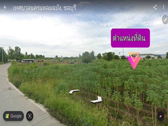 ขายที่ดิน ศรีราชา/ชลบุรี…ต. หนองขาม 6-3-31 ไร่ (ผังสีม่วงอ่อนมีจุดสีขาว)