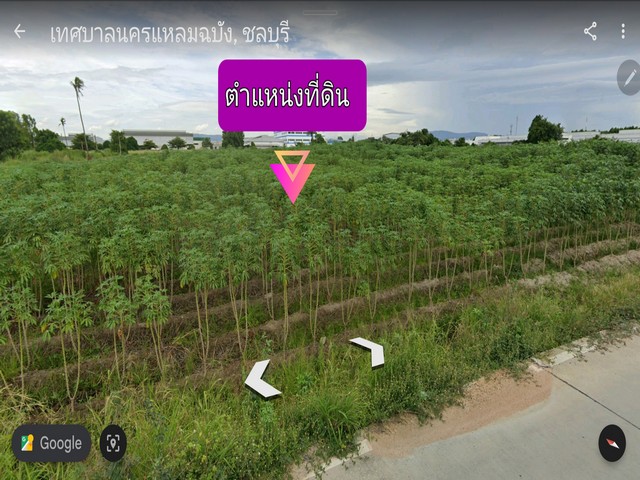 ขายที่ดิน ศรีราชา/ชลบุรี…ต. หนองขาม 6-3-31 ไร่ (ผังสีม่วงอ่อนมีจุดสีขาว)