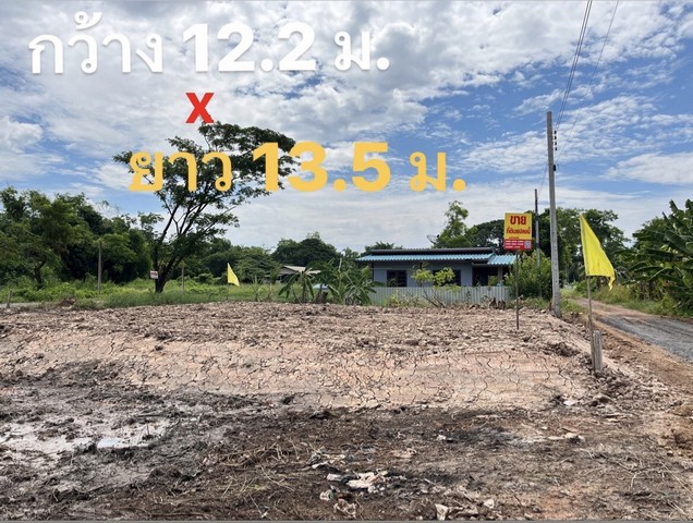 ขายถูกที่ดิน ถมแล้ว 41 ตรว.  แปลงสุดท้าย ประชาสำราญ หนองจอก กรุงเทพ