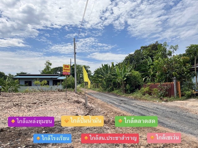 ขายถูกที่ดิน ถมแล้ว 41 ตรว.  แปลงสุดท้าย ประชาสำราญ หนองจอก กรุงเทพ