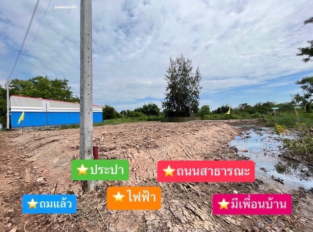 ขายถูกที่ดิน ถมแล้ว 41 ตรว.  แปลงสุดท้าย ประชาสำราญ หนองจอก กรุงเทพ