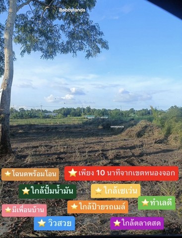 ขายที่ดินเปล่า เนื้อที่ 100 ตารางวา หนองจอก บางน้ำเปรี้ยว คลอง 12 กรุงเทพ