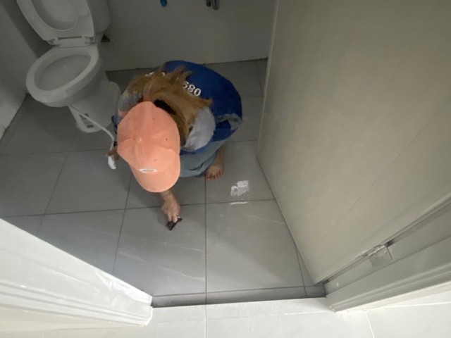  ให้เช่าโกดัง 700 ตารางเมตร ถนนกว้าง 13 เมตร ใกล้ปากซอย ถนนบางปลา จังหวัด สมุทรสาคร