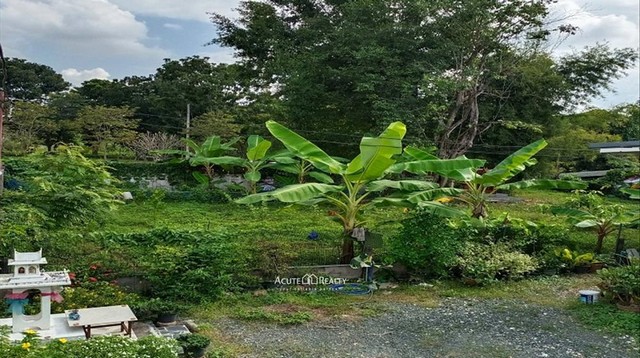 ขายที่ดินถมแล้ว อ.สันทราย จ.เชียงใหม่ ขนาด 99 ตร.ว.