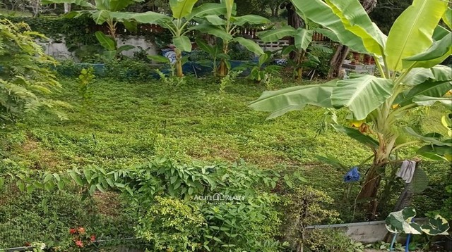 ขายที่ดินถมแล้ว อ.สันทราย จ.เชียงใหม่ ขนาด 99 ตร.ว.