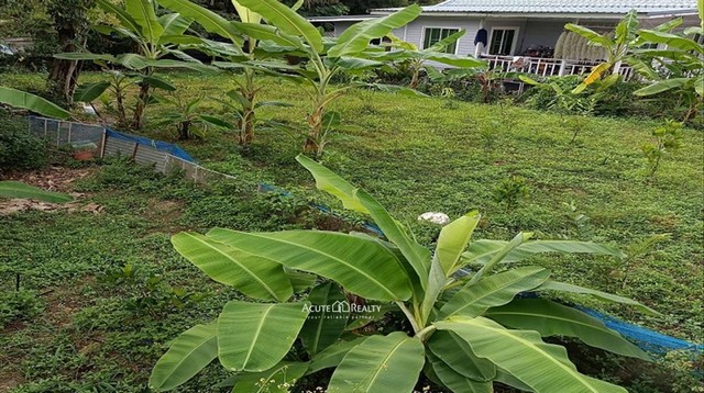 ขายที่ดินถมแล้ว อ.สันทราย จ.เชียงใหม่ ขนาด 99 ตร.ว.