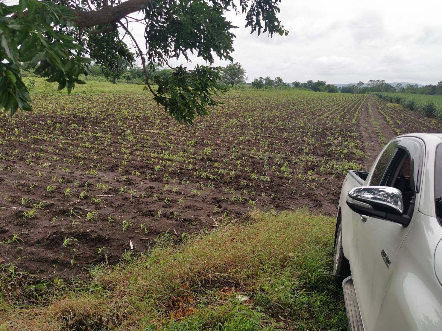 ขายที่ดินเปล่า 10 ไร่ ตำบลชัยบาดาล อำเภอชัยบาดาล จังหวัดลพบุรี