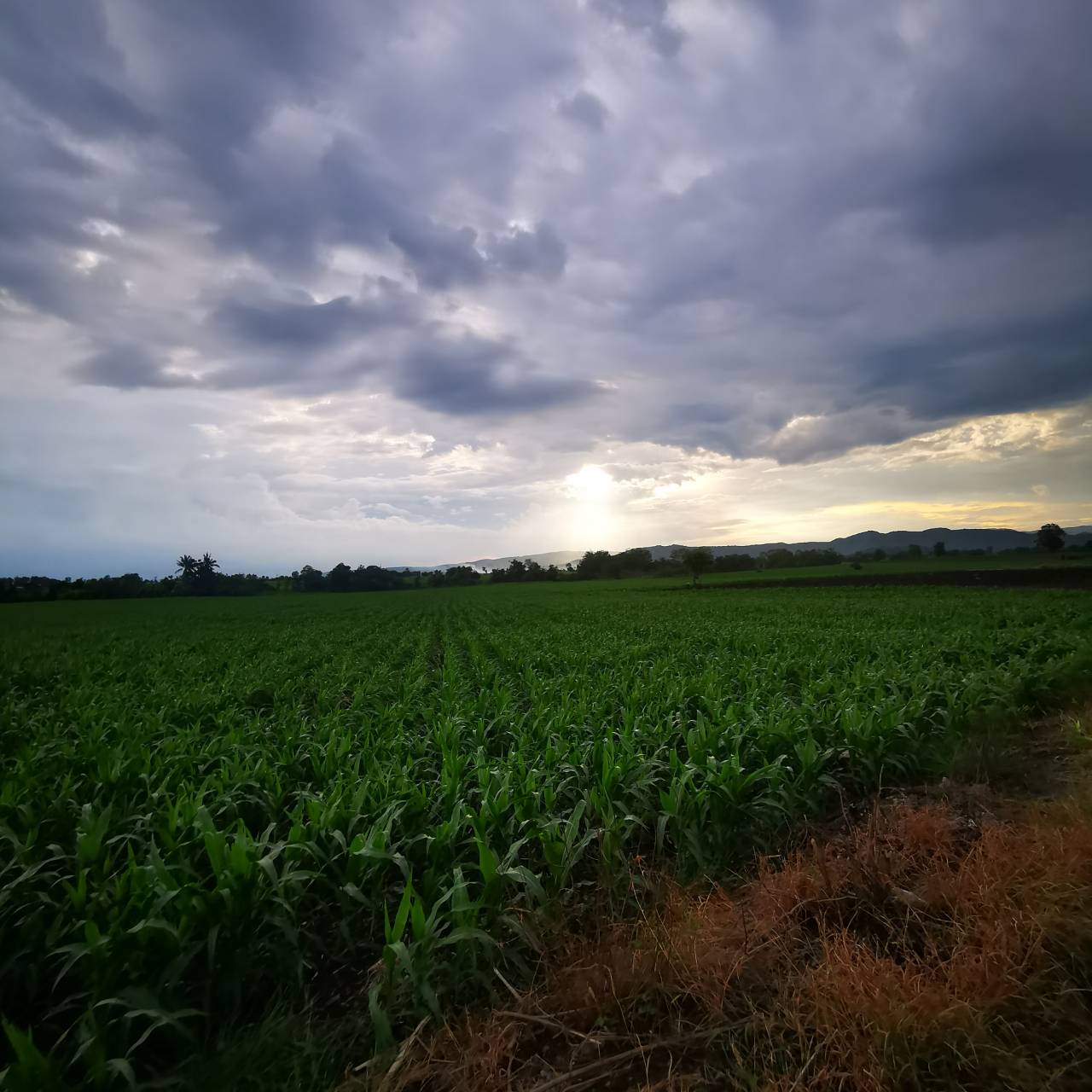 ขายที่ดินเปล่า 10 ไร่ ตำบลชัยบาดาล อำเภอชัยบาดาล จังหวัดลพบุรี