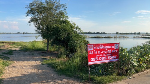 ขายที่ดินแปลงใหญ่ (ที่นา)ตำบลหนองเต่า อำเภอเก้าเลี้ยว จังหวัดนครสวรรค์