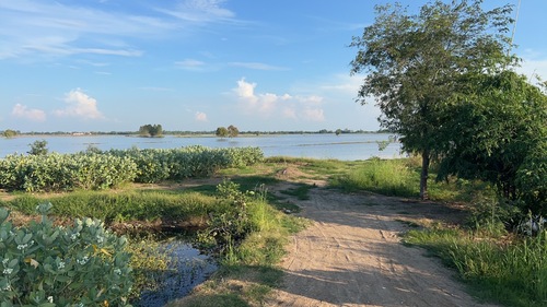 ขายที่ดินแปลงใหญ่ (ที่นา)ตำบลหนองเต่า อำเภอเก้าเลี้ยว จังหวัดนครสวรรค์