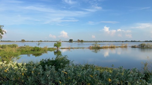 ขายที่ดินแปลงใหญ่ (ที่นา)ตำบลหนองเต่า อำเภอเก้าเลี้ยว จังหวัดนครสวรรค์