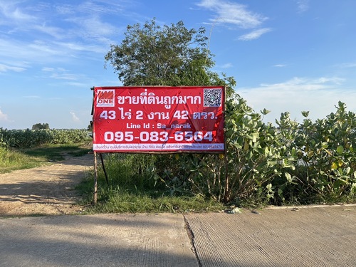 ขายที่ดินแปลงใหญ่ (ที่นา)ตำบลหนองเต่า อำเภอเก้าเลี้ยว จังหวัดนครสวรรค์
