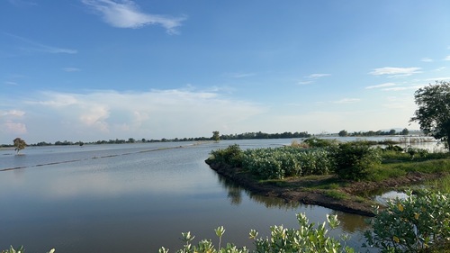 ขายที่ดินแปลงใหญ่ (ที่นา)ตำบลหนองเต่า อำเภอเก้าเลี้ยว จังหวัดนครสวรรค์