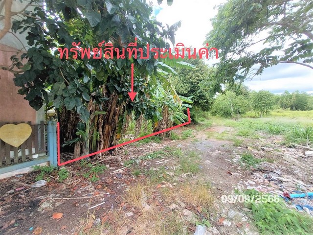ที่ดินว่างเปล่าใกล้ แก้วมินิมาร์ท อำเภอเมืองสุราษฎร์ธานี จังหวัดสุราษฎร์ธานี PKK01-11625