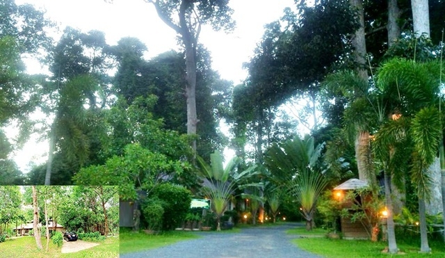 รีสอร์ท 18 ห้อง บรรยายธรรมชาติ ให้เช่าบริหารโรงแรมสไตล์ วิทยาลัยชุมชนยโสธร 15ไร่ 2งาน 3,800ตรม. 18นอน 18น้ำ จอดรถได้หลายคัน 18แอร์