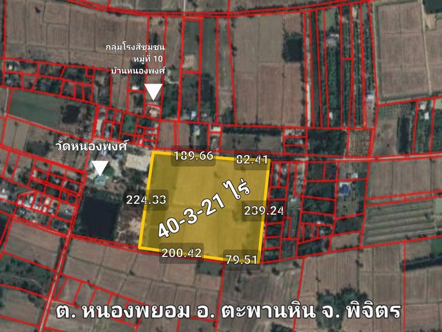 ขายที่ดิน อ. ตะพานหิน/จ. พิจิตร ต.หนองพยอม 40-3-21 ไร่ 