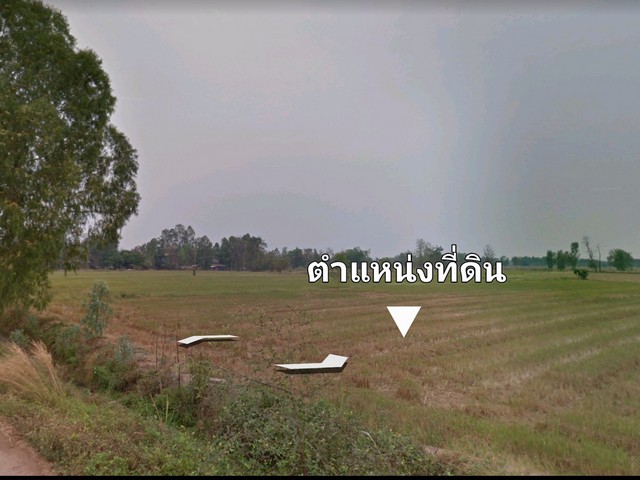ขายที่ดิน อ. ตะพานหิน/จ. พิจิตร ต.หนองพยอม 40-3-21 ไร่ 