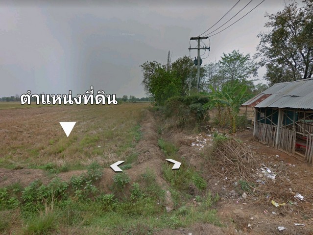 ขายที่ดิน อ. ตะพานหิน/จ. พิจิตร ต.หนองพยอม 40-3-21 ไร่ 