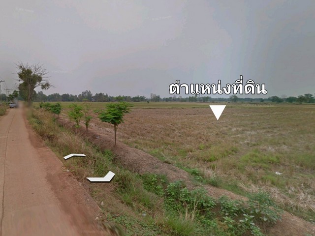 ขายที่ดิน อ. ตะพานหิน/จ. พิจิตร ต.หนองพยอม 40-3-21 ไร่ 